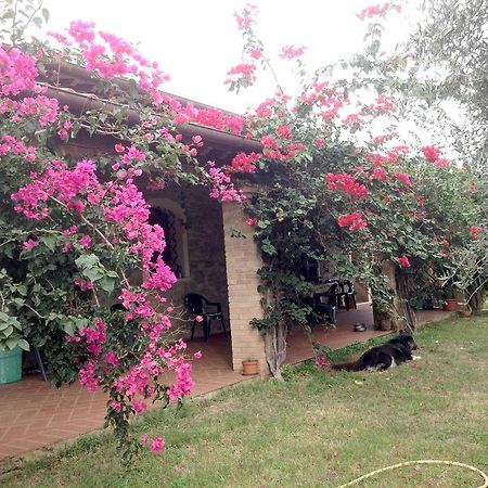 Casa Santina Villa Girasole Cameră foto