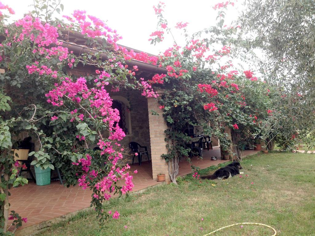 Casa Santina Villa Girasole Cameră foto