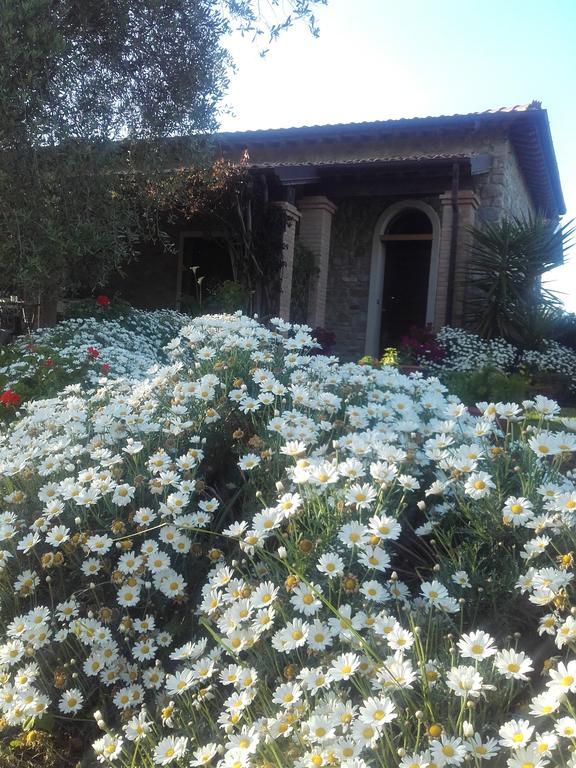 Casa Santina Villa Girasole Exterior foto